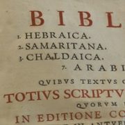 Bibbia poliglotta