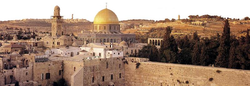 Colletta per la Terra Santa