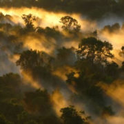 riserva dell’Amazzonia