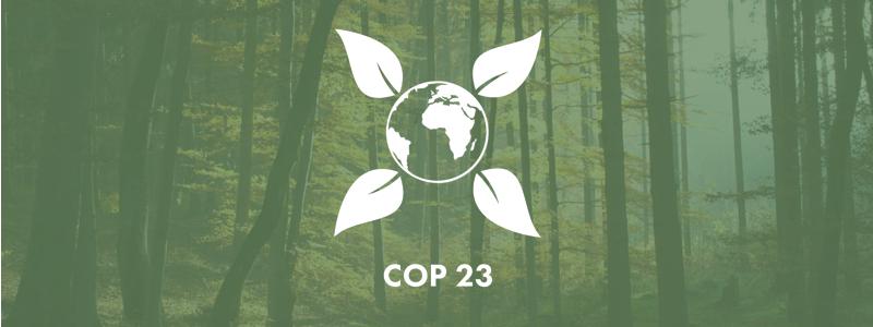 COP 23