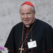 papa Francesco, Schönborn