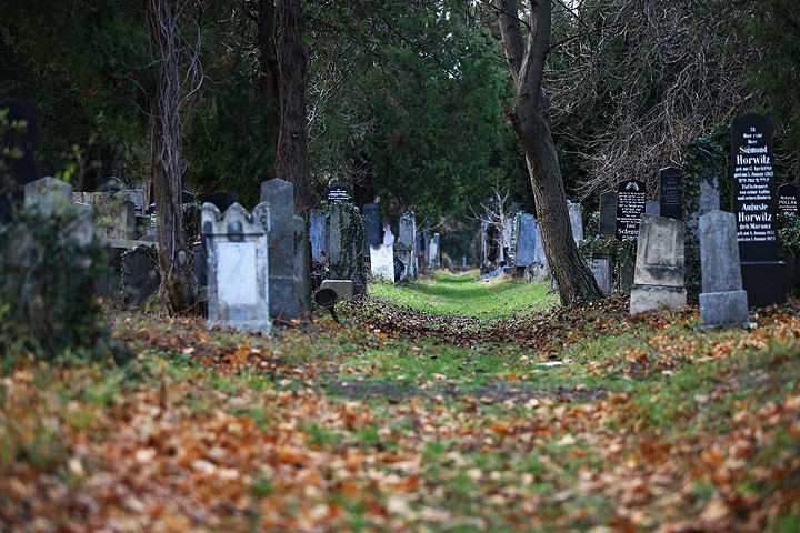 cimitero vienna