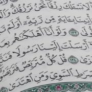 traduzioni del Corano online