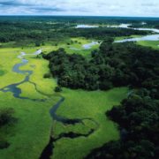 Amazzonia, terra e Sinodo