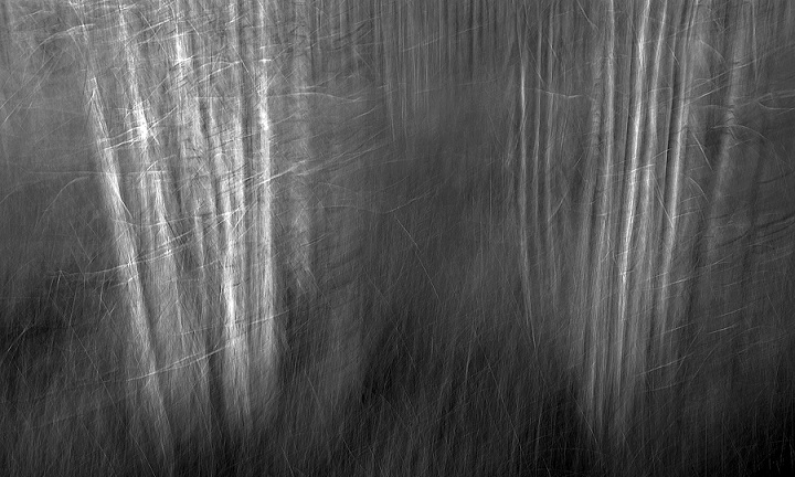 Una Chiesa capace di sognare