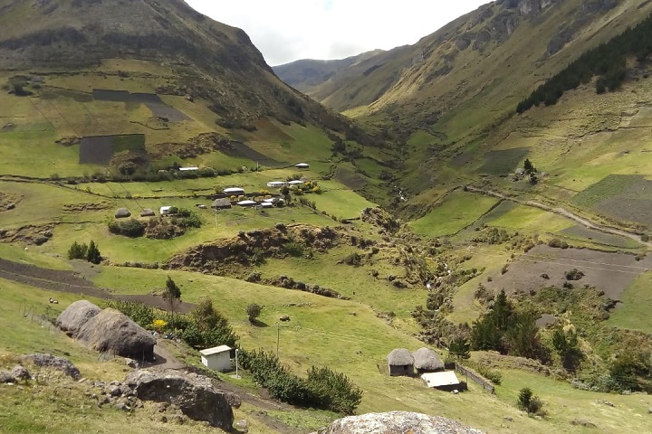 intervista p. bernardi