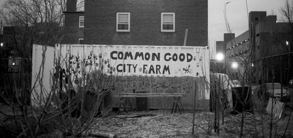 Saluto ai politici locali di Piacenza