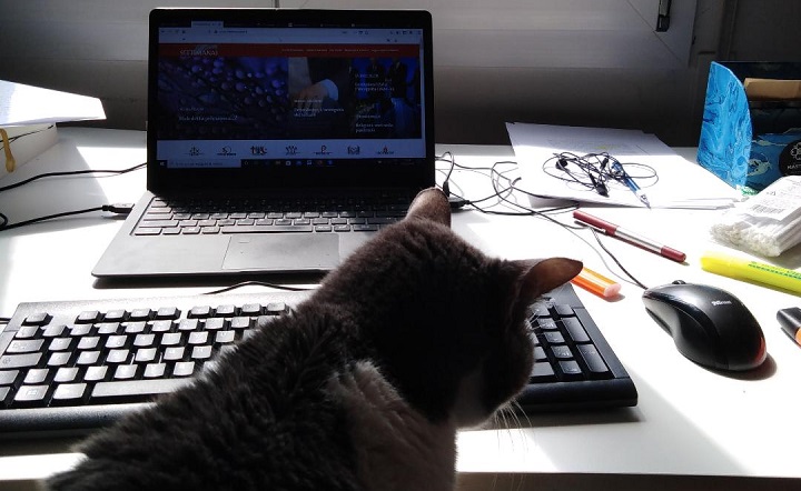 Università coronavirus