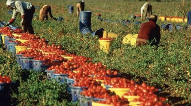 regolarizzare immigrati