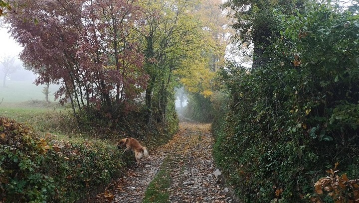 autunno