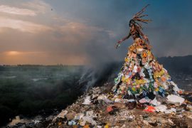 crisi ecologica
