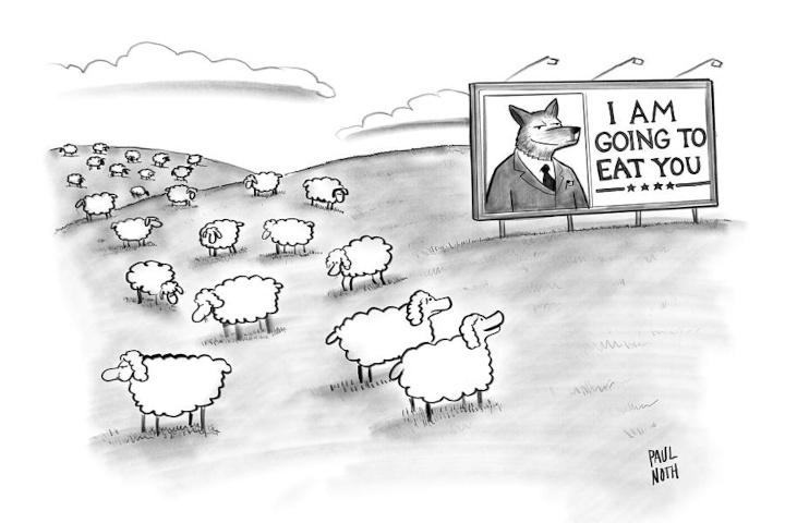 paul noth