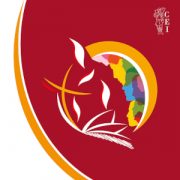 documento-sintesi-evidenza