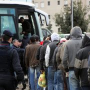 migranti
