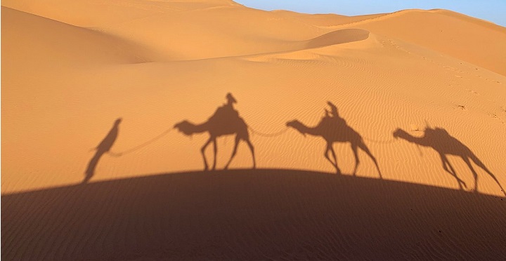 sahara