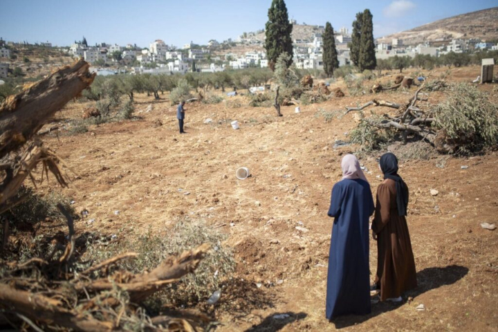 palestina