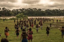 amazzonia1